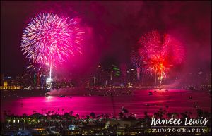 NEL_PHOTO_July4th2015_Fireworks_x_005.jpg